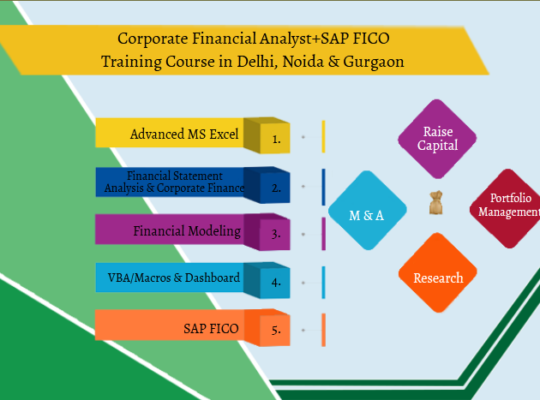 Job Oriented Financial Modelling Certification